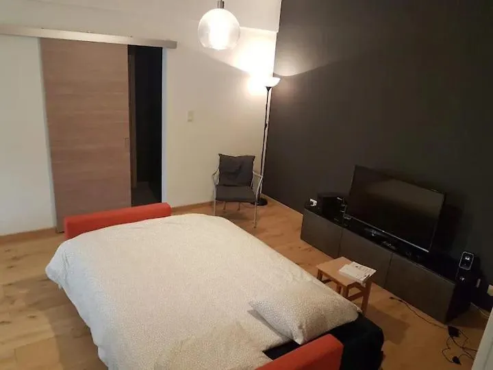 Appartement Entierement Renove Et Equipe De Deux Chambres Dans Le Quartier Schuman 布鲁塞尔 公寓